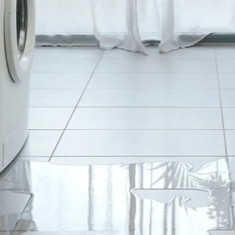 Appliance Leak Cleanup in Viera East, FL